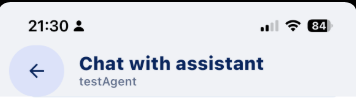 Chat with assistant — testAgent, captured from TestFlight